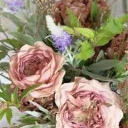 dieu du soleilの画像