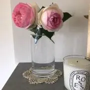 さきの画像