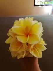 maru8の画像