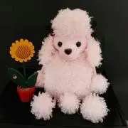 みー
