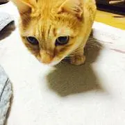 kkkjjjoceanの画像