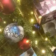 ちびとも