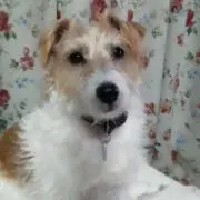 のりちゃん