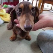 ねむねむまりまりの画像