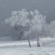 youの画像