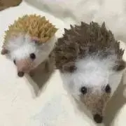 ケロロ好き⁉︎ プロフ見てねの画像