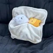 かめままの画像