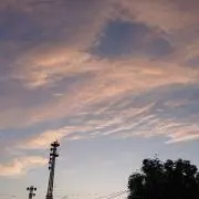 まちこの画像