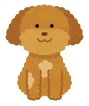 Junの画像