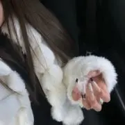 ❤︎の画像
