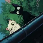 wnjhjm24の画像