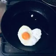 ポコタの画像