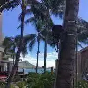 N断捨離中★プロフ参照の画像