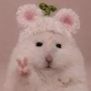 abeliaaの画像