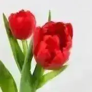 やまざと★の画像