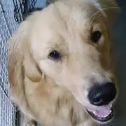 りょうちゃん