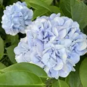 古着屋RIN(即購入歓迎)の画像