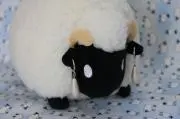 あひるの画像