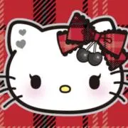 knn 断捨離中の画像