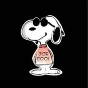 Joe Coolの画像