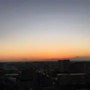 むーの画像