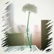 rinの画像