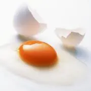 たまご×ЯiCE