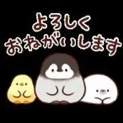 ハイビスカスの画像