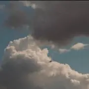むゆの画像