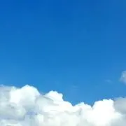 ヨッシの画像