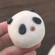 かっちの画像