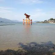 オレンジ