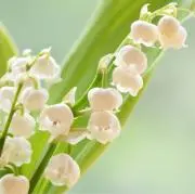 ライ　⭐︎プロフ必読願います⭐︎の画像
