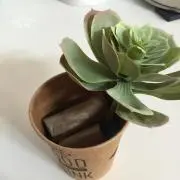 らら♡の画像