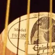 ベンガルトラ プロフ必読