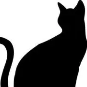黒猫Aの画像