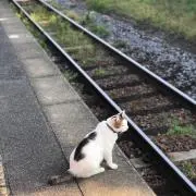 テイソウリー