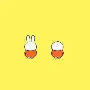 Dの画像