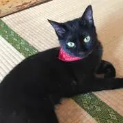 ゆー