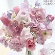 ❇︎yume❇︎の画像