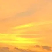 irohaの画像