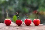 CHERRY CARDの画像