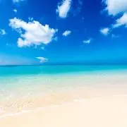 らむの画像