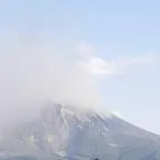 こちゃんの画像