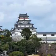 ダイさんの画像