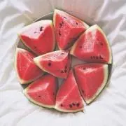 するめの画像
