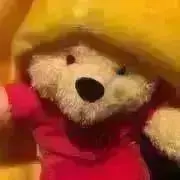 ぷーの画像