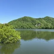 Akiの画像