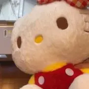 kittyの画像