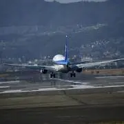 みーの画像